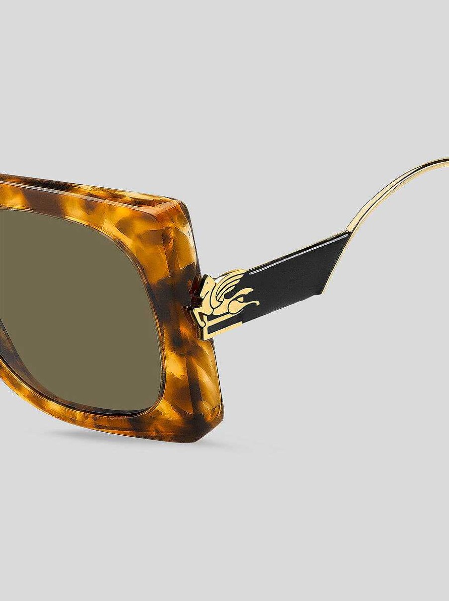 ETRO Bold Pegaso Sunglasses | Sunglasses